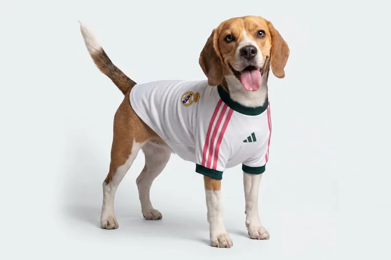 adidas-des-maillots-de-football-pour-chiens/carousel-1.jpg