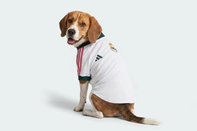 adidas-des-maillots-de-football-pour-chiens/carousel-2.jpg