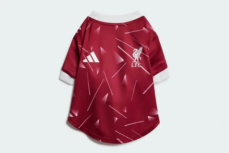 adidas-des-maillots-de-football-pour-chiens/carousel-4.jpg