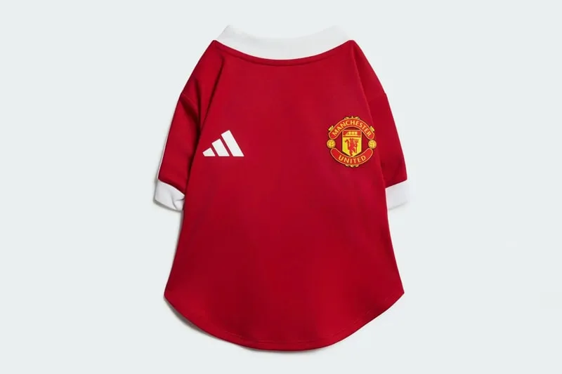adidas-des-maillots-de-football-pour-chiens/carousel-5.jpg