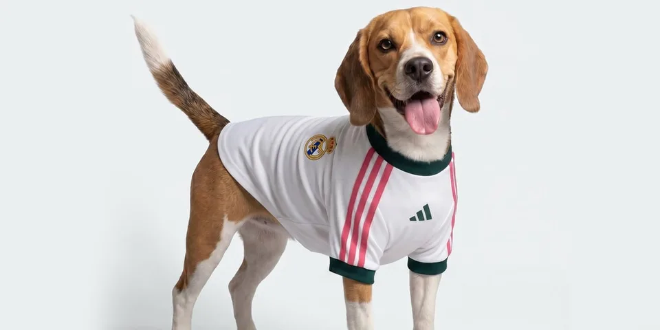 Un chien portant un maillot blanc avec des bandes roses.
