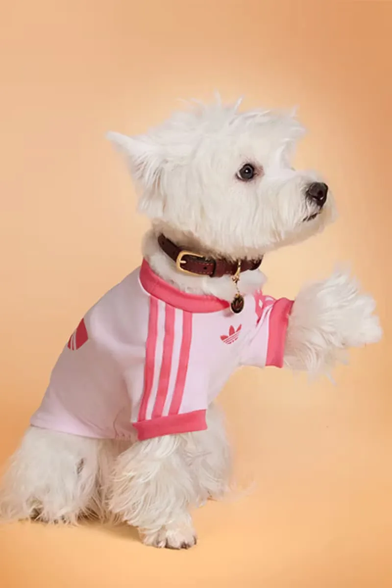 adidas-habille-vos-animaux-pour-lautomne-2025-avec-elegance/carousel-11.jpg