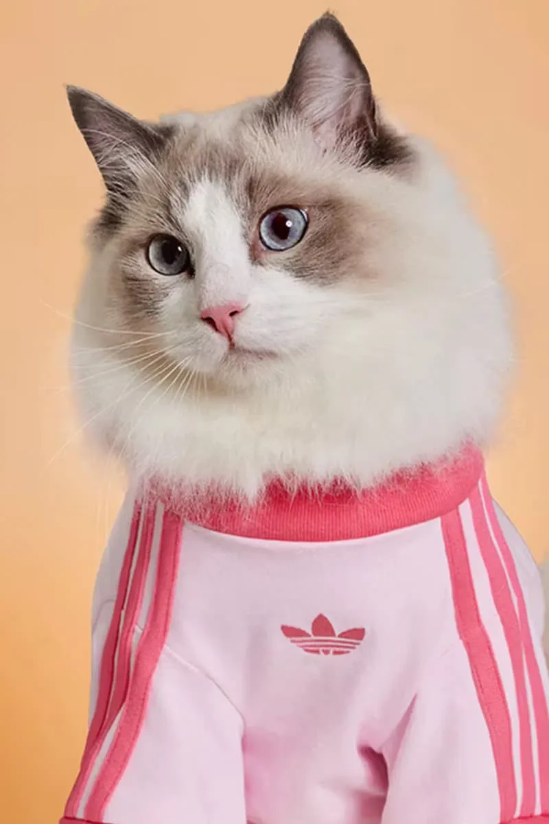adidas-habille-vos-animaux-pour-lautomne-2025-avec-elegance/carousel-12.jpg