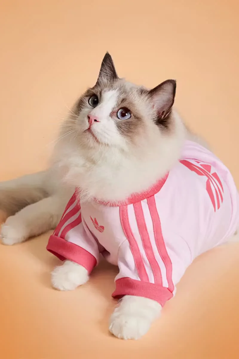 adidas-habille-vos-animaux-pour-lautomne-2025-avec-elegance/carousel-13.jpg