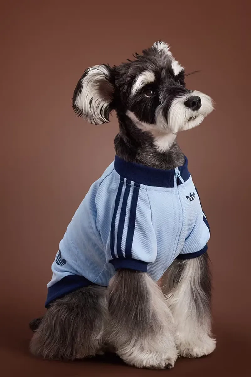 adidas-habille-vos-animaux-pour-lautomne-2025-avec-elegance/carousel-5.jpg