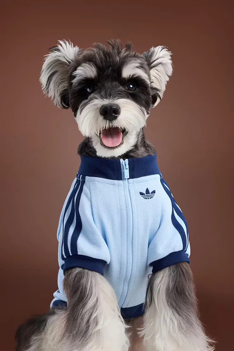 adidas-habille-vos-animaux-pour-lautomne-2025-avec-elegance/carousel-6.jpg