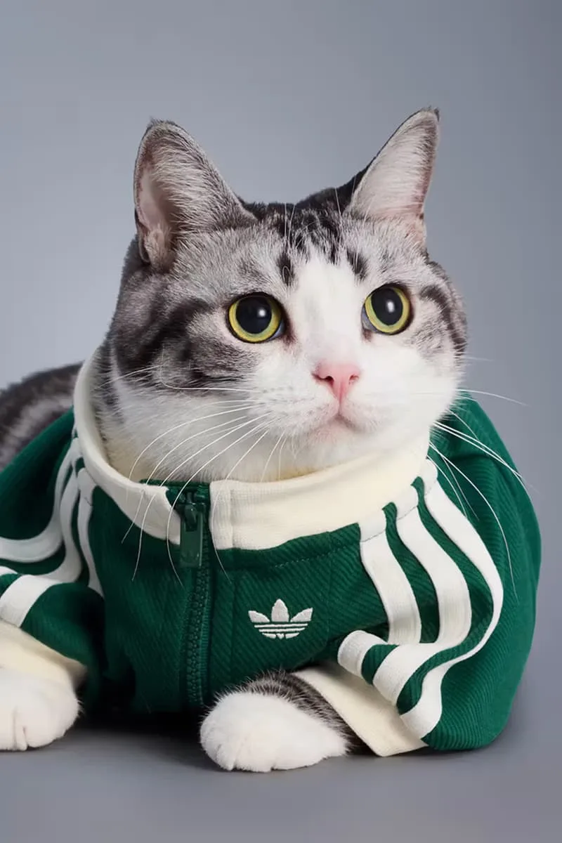 adidas-habille-vos-animaux-pour-lautomne-2025-avec-elegance/carousel-8.jpg
