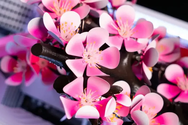 Fleurs roses stylisées sur une branche marron, fond flou.