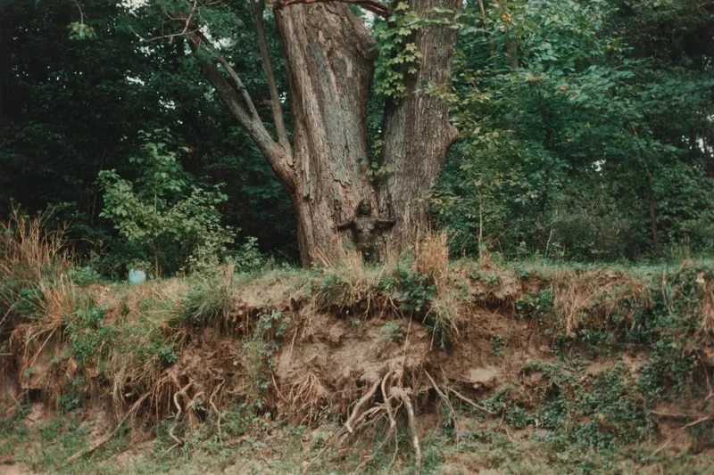 ana-mendieta-lart-terre-corps-au-tate-modern/carousel-8.jpg