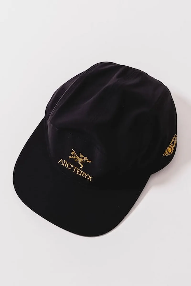 arcteryx-x-beams-la-collection-anniversaire/carousel-7.jpg