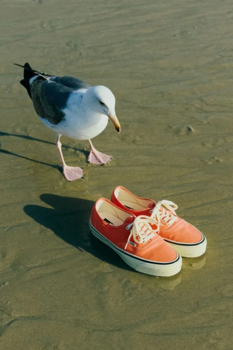 beams-boy-et-vans-une-collaboration-qui-plonge-dans-les-annees-80/carousel-1.jpg