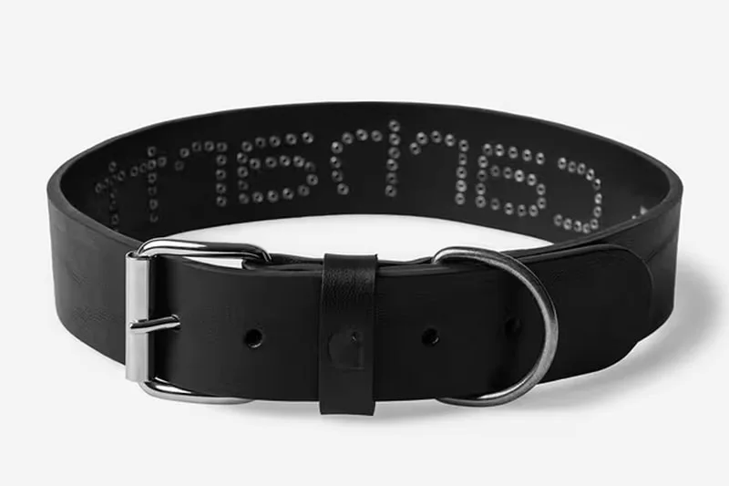 carhartt-wip-accessoires-pour-chiens-en-cuir/carousel-6.jpg