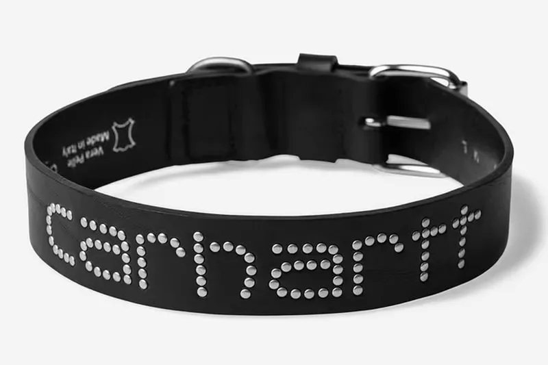 carhartt-wip-accessoires-pour-chiens-en-cuir/carousel-7.jpg