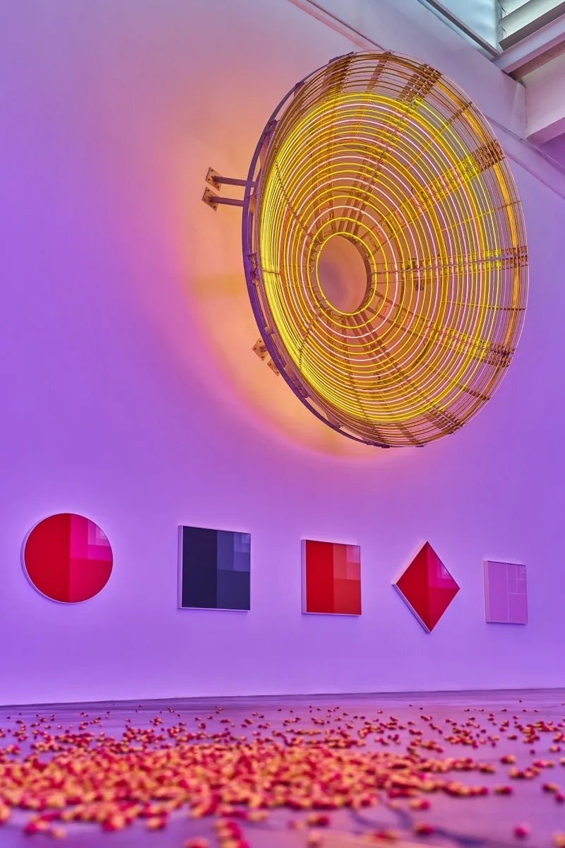 carsten-holler-lexperience-immersive-a-ucca-pekin/carousel-12.jpg