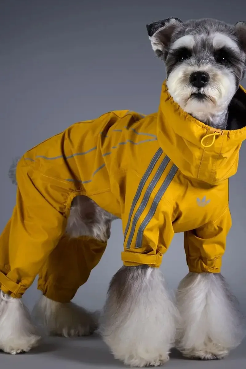 adidas Originals dévoile sa collection pour animaux de l’hiver 2026