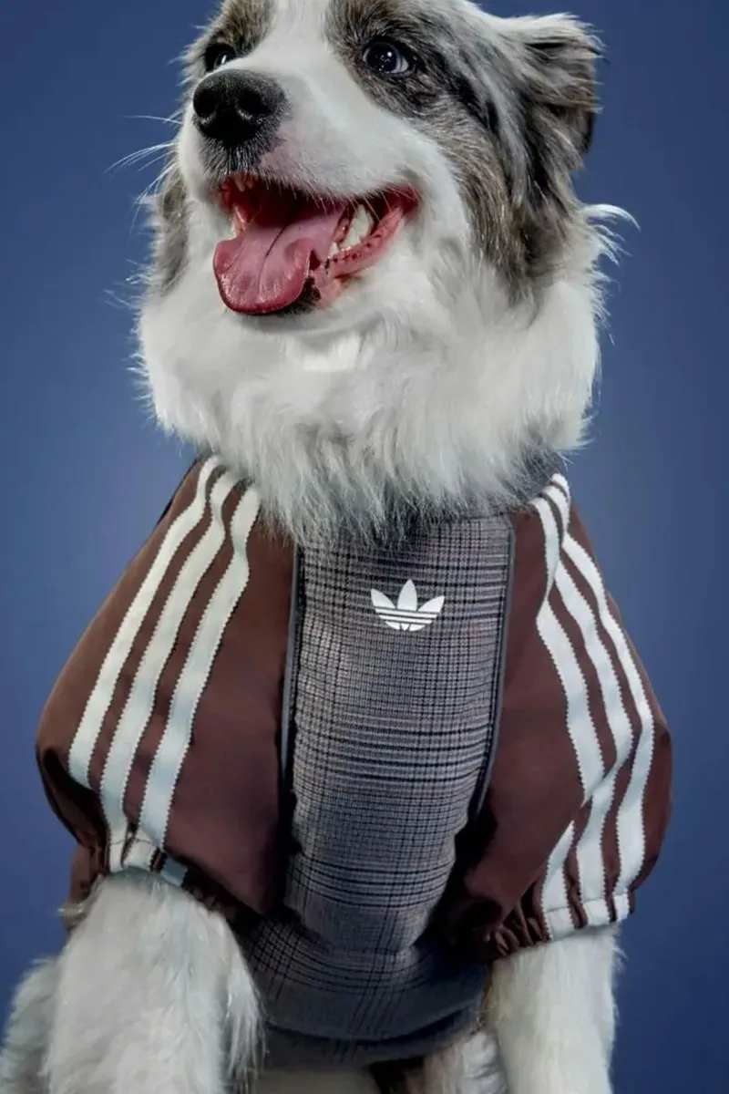 adidas Originals dévoile sa collection pour animaux de l’hiver 2026