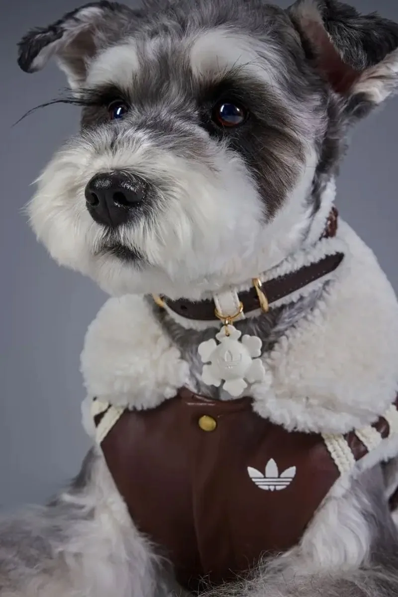adidas Originals dévoile sa collection pour animaux de l’hiver 2026
