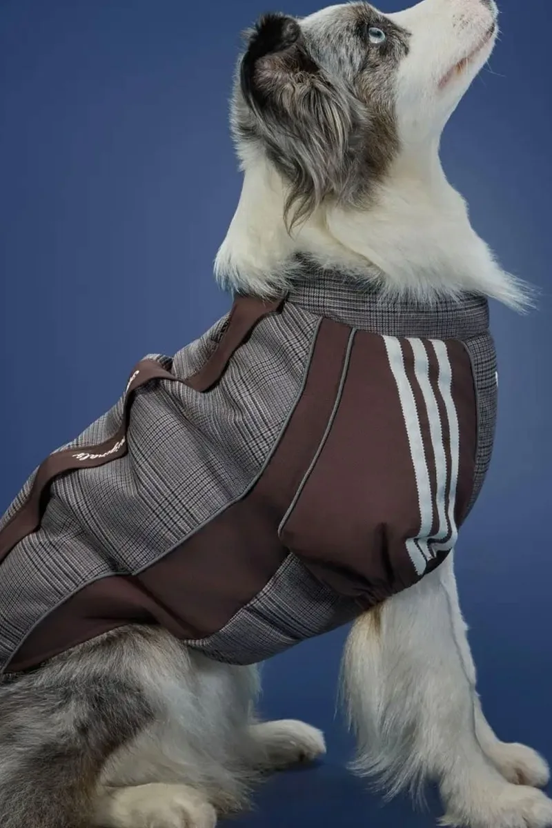 adidas Originals dévoile sa collection pour animaux de l’hiver 2026