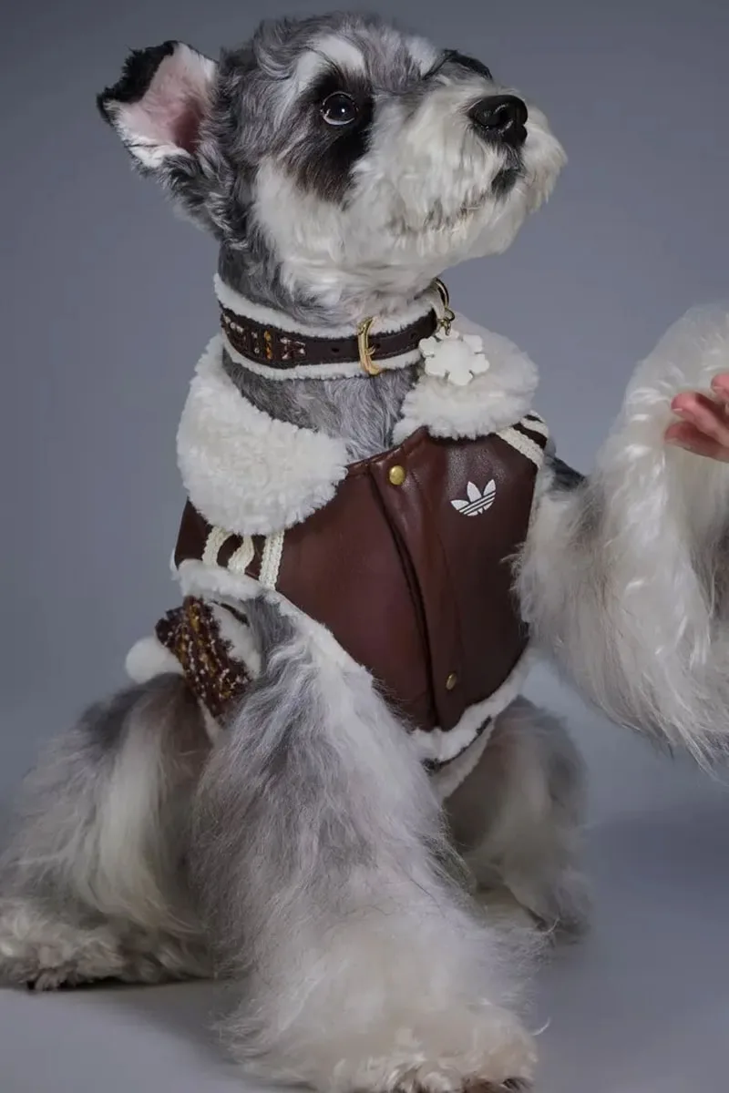 adidas Originals dévoile sa collection hivernale 2026 pour animaux