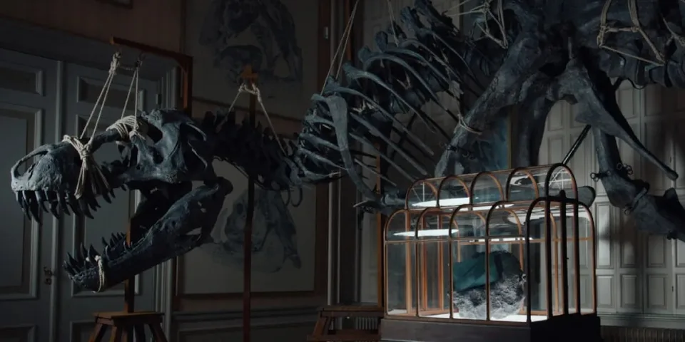 Squelette de dinosaure et météorite dans une salle d'exposition