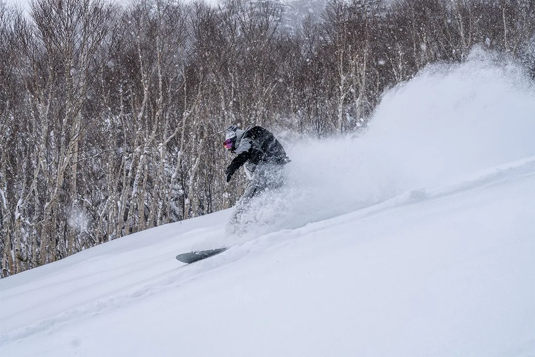 Personne surfe sur la neige en montagne enneigée, entourée d'arbres.
