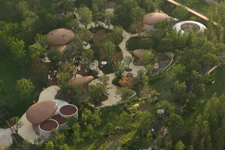 Vue aérienne d'un parc avec bâtiments organiques entourés d'arbres.