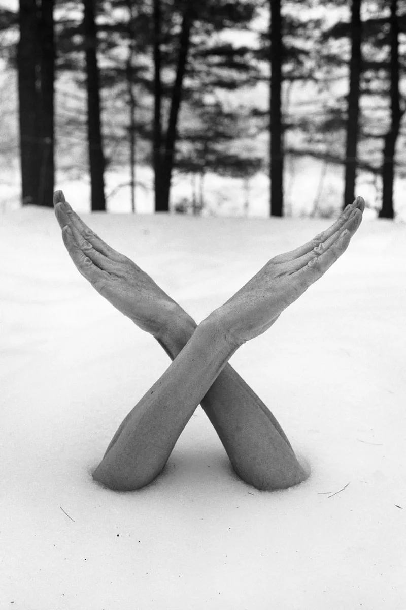 Bras croisés sortant de la neige devant des arbres.