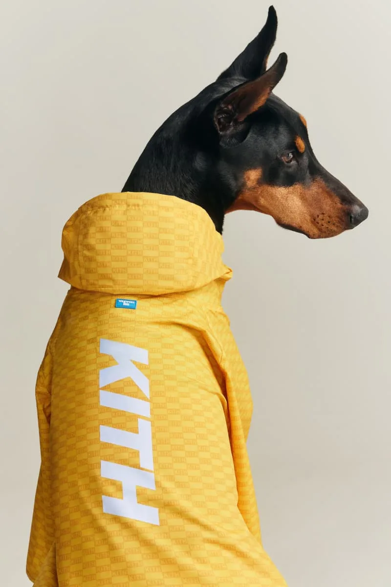 kith-et-wagwear-une-collection-sur-mesure-pour-chiens/carousel-1.jpg