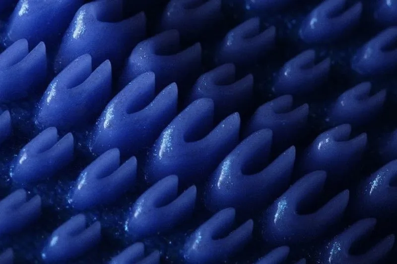 Gros plan sur de nombreuses petites structures bleues en forme de crochet.