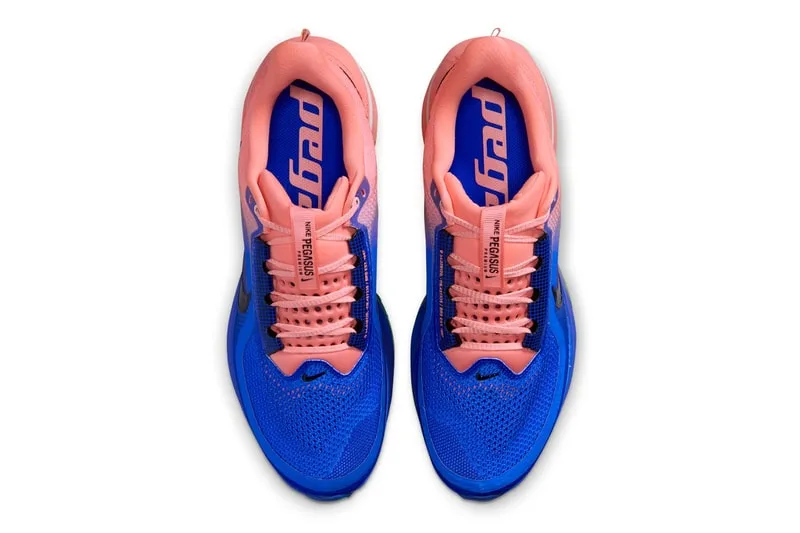 nike-pegasus-premium-explosion-de-couleurs-audacieuses/carousel-4.jpg
