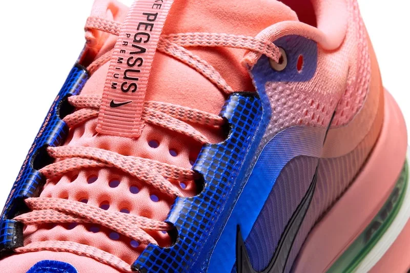 nike-pegasus-premium-explosion-de-couleurs-audacieuses/carousel-7.jpg