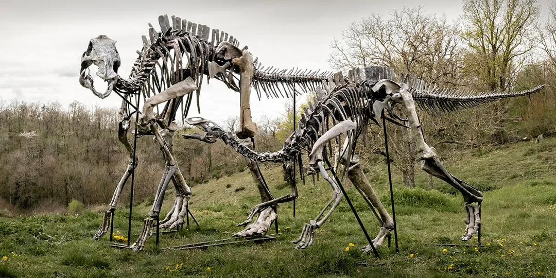 Squelettes de dinosaures en métal dans un paysage herbeux.