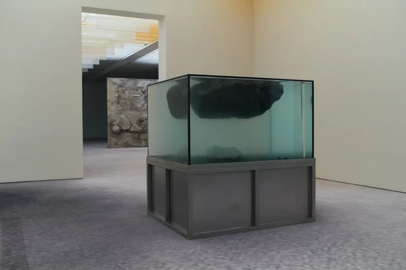 pierre-huyghe-un-labyrinthe-vivant-a-la-fondation-beyeler/carousel-1.jpg