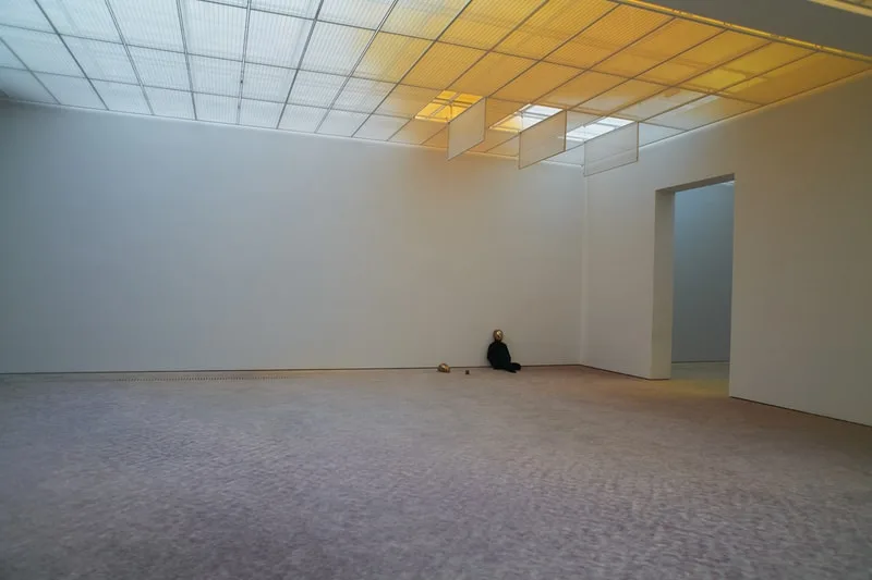 pierre-huyghe-un-labyrinthe-vivant-a-la-fondation-beyeler/carousel-3.jpg