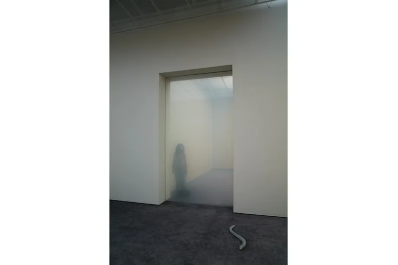 pierre-huyghe-un-labyrinthe-vivant-a-la-fondation-beyeler/carousel-6.jpg