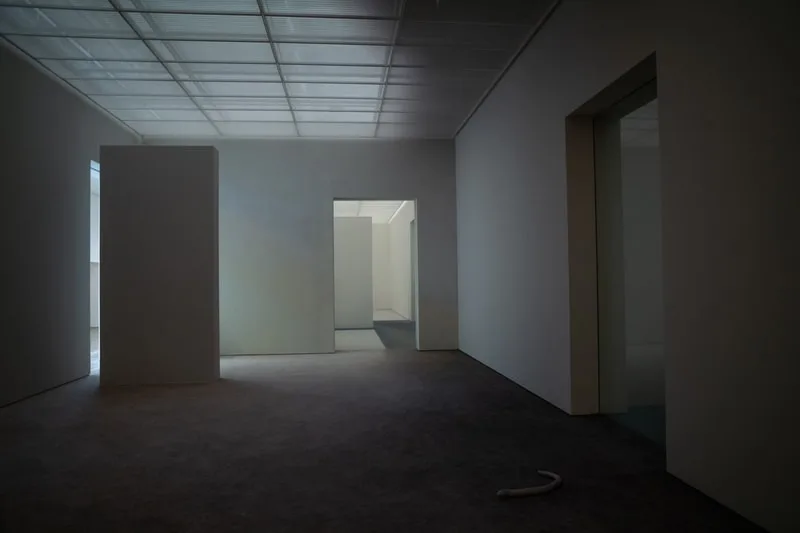 pierre-huyghe-un-labyrinthe-vivant-a-la-fondation-beyeler/carousel-7.jpg
