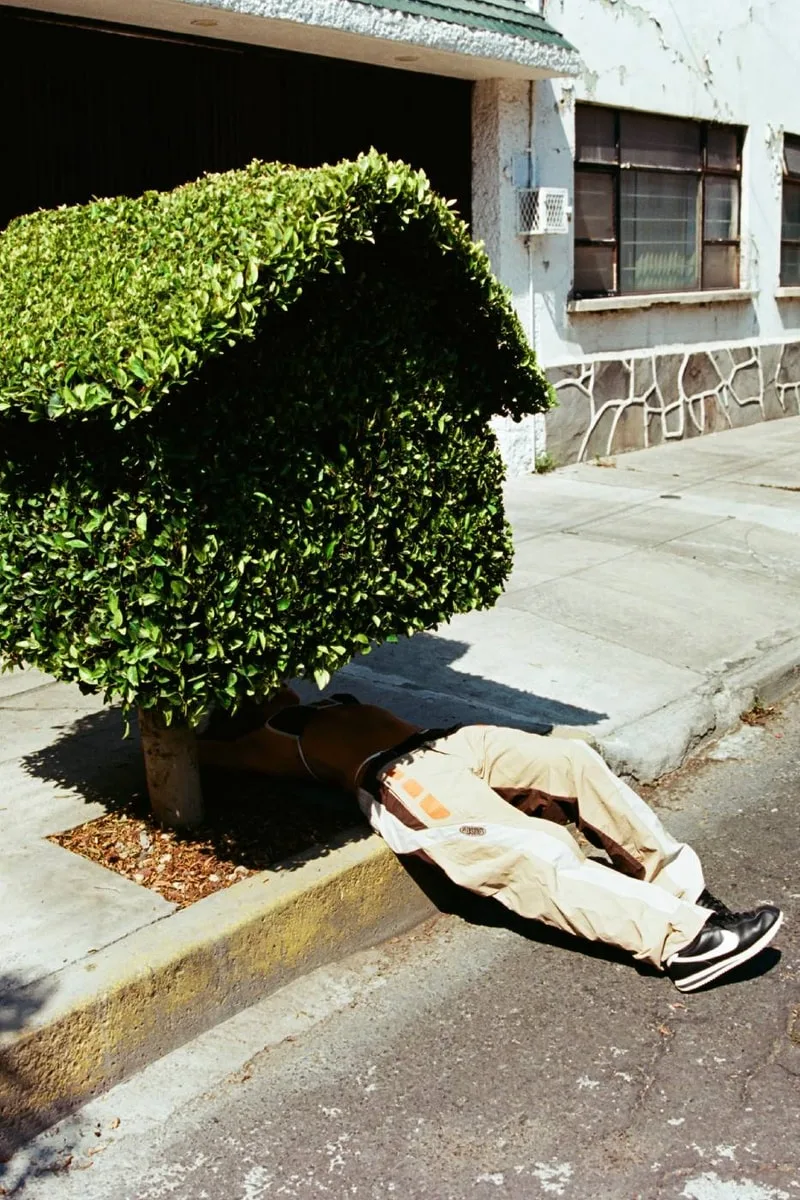 Personne cachée sous un buisson taillé en forme de maison.