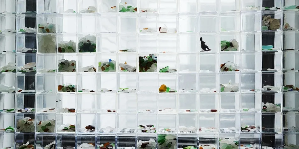 Mur de cubes transparents contenant des morceaux de verre colorés et un oiseau.