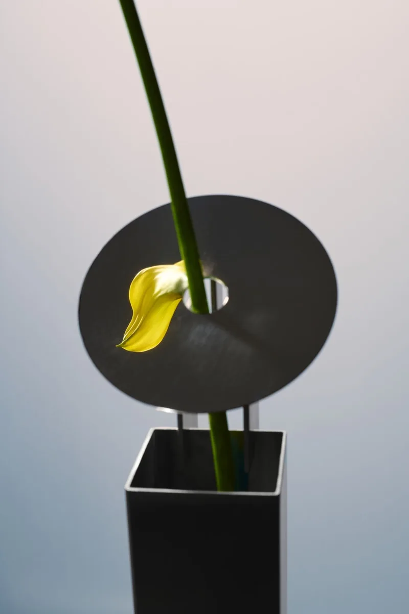 REdDUO STEM VASE, vase design pour une seule fleur