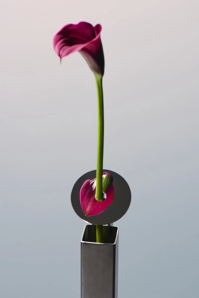 REdDUO STEM VASE : objets design et décoration intérieure
