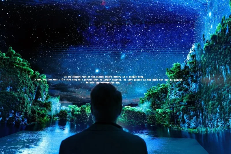 Homme regardant un paysage nocturne étoilé avec des lacs et des arbres