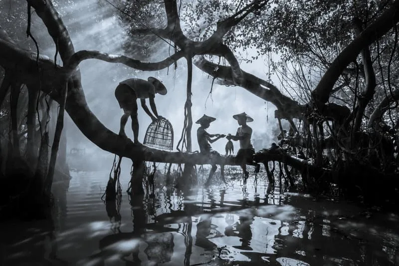 sony-recompense-les-talents-de-la-photographie-mondiale-2026/carousel-13.jpg