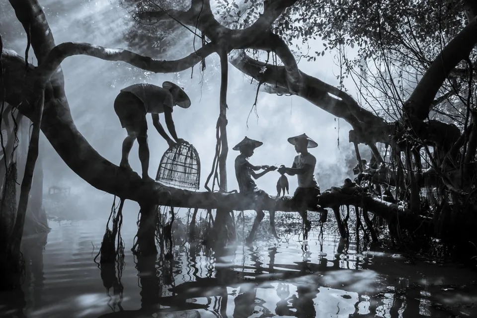 Scène forestière avec hommes et chien sur arbre au-dessus d'une rivière.
