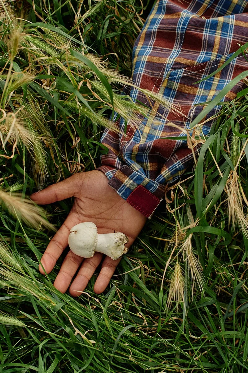 Main tenant un champignon blanc dans l'herbe haute.
