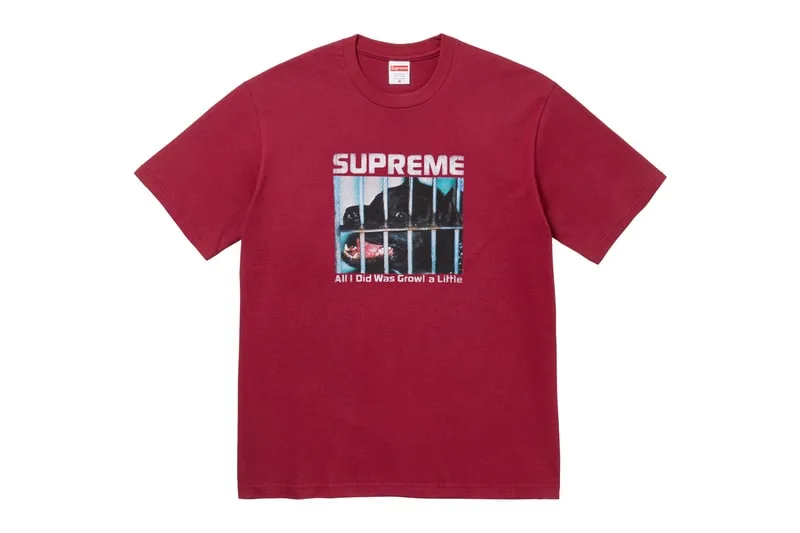 supreme-des-tees-fall-2026-audacieux/carousel-12.jpg