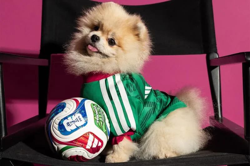Chiot habillé en maillot de football avec un ballon sur une chaise.