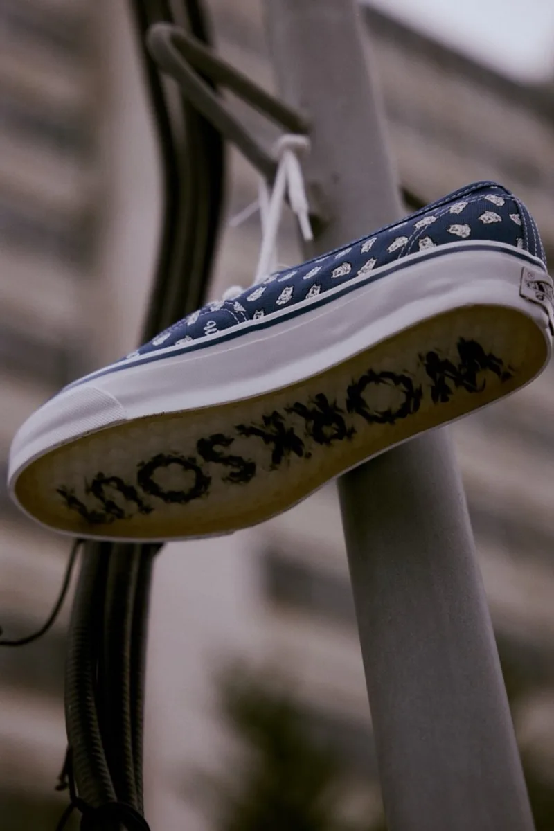 worksout-x-vans-une-authentic-cartoon-et-decalee/carousel-2.jpg