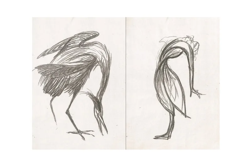 Deux esquisses de dessin de hérons en mouvement.